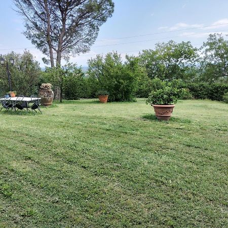 Agriturismo Bellandi Santa Lucia (Lucca) Exterior foto