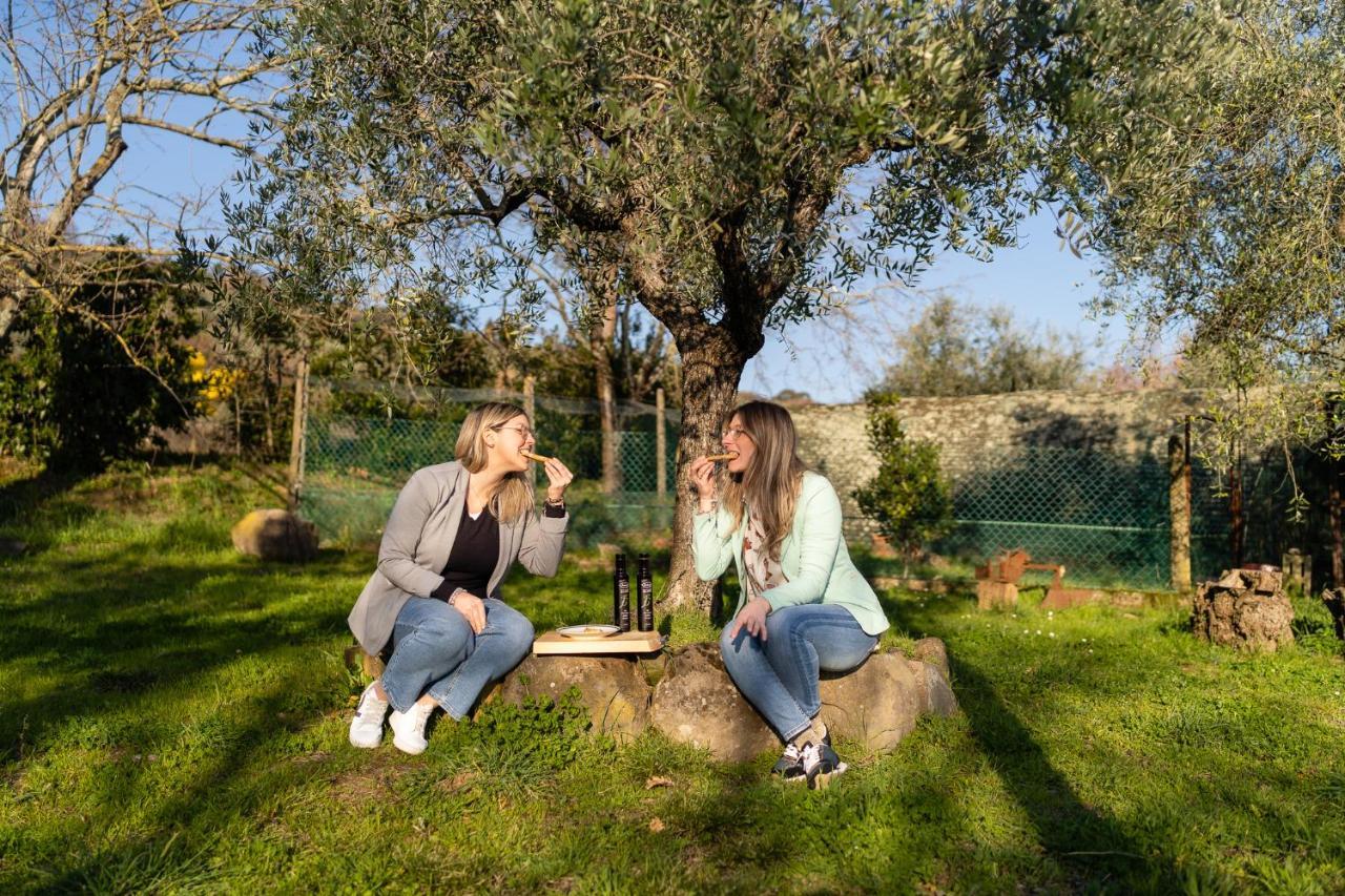Agriturismo Bellandi Santa Lucia (Lucca) Exterior foto