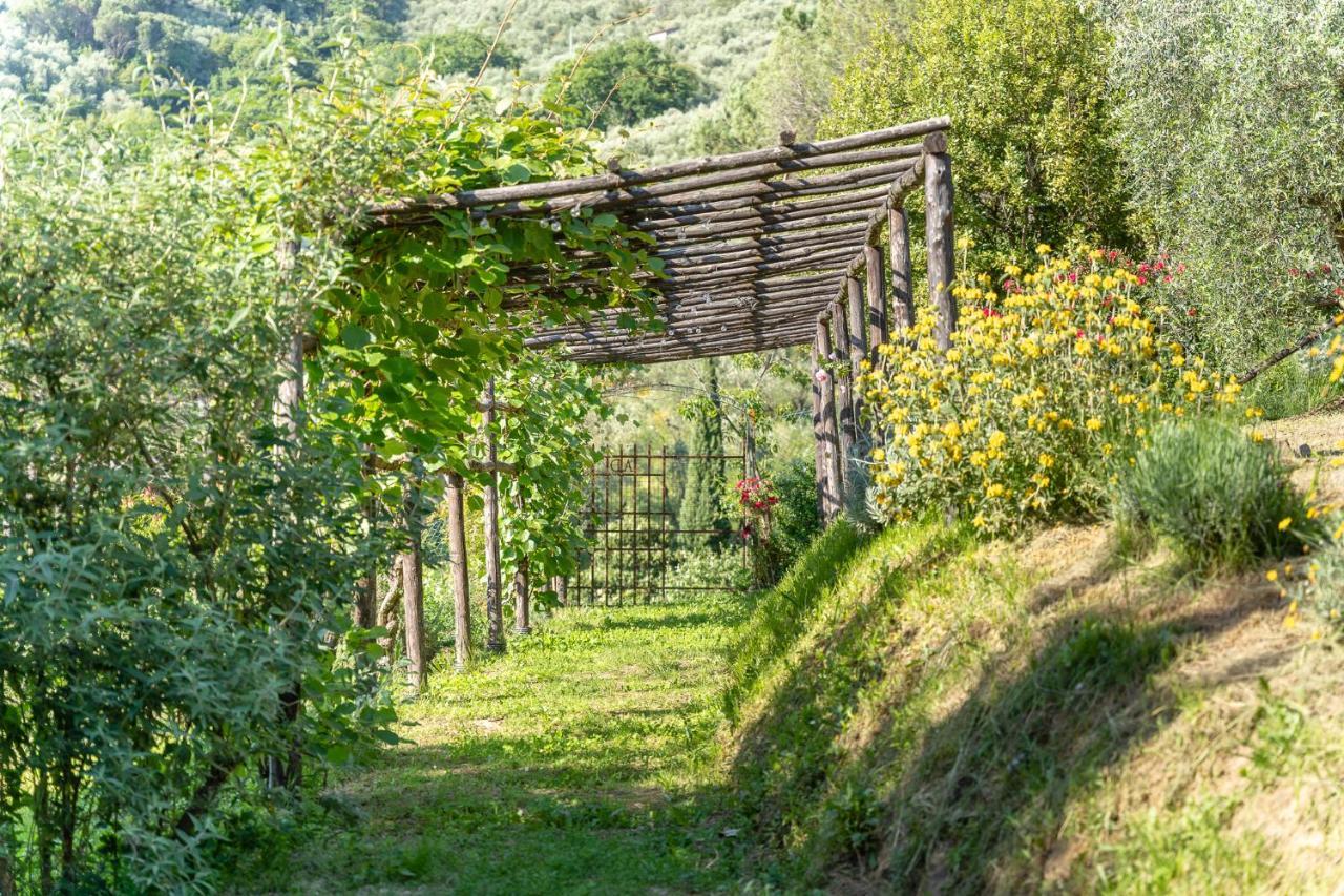 Agriturismo Bellandi Santa Lucia (Lucca) Exterior foto