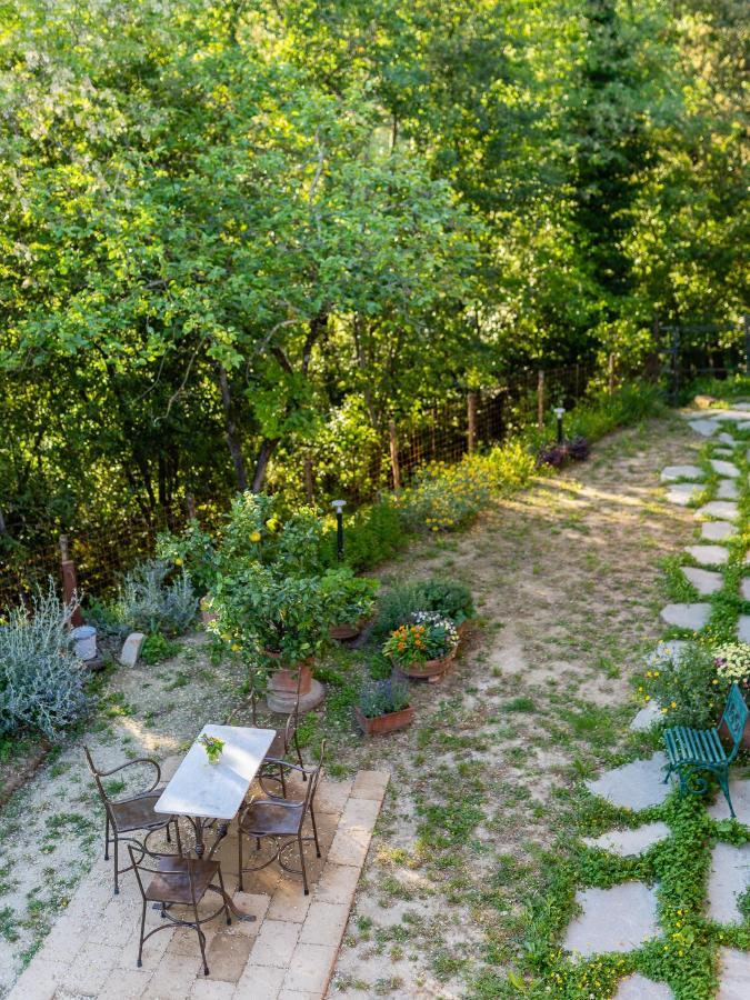 Agriturismo Bellandi Santa Lucia (Lucca) Exterior foto